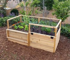 a wooden garden box with plants growing in it