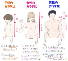 an anime character's body measurements in different languages