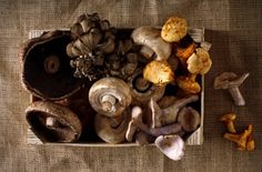 mushrooms are in a box on the table