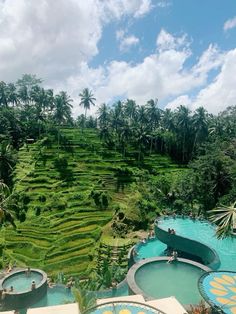 people are swimming in a pool surrounded by rice terraces