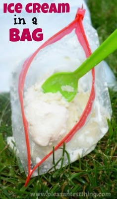 an ice cream bag with a green spoon in it