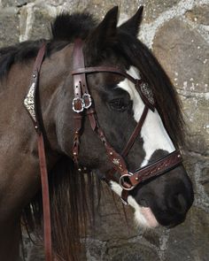 a brown and white horse standing in front of a stone wall wearing a bridle