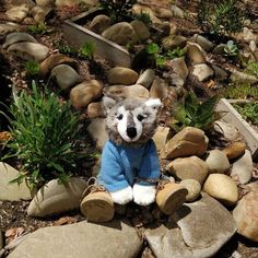 Build a bear wolf sitting on some rocks wearing clothes Plush Photography, Bear Boyfriend, Aesthetic Wolf, Adorable Plushies, Girls Loft Bed, Wolf Plush, Indie Decor, Bear Picnic, Stuff Animals