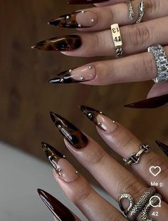 November Nails Fall Stiletto, Black Birthday Nails Almond, Dark Feminine Energy Nails, Burgundy Fall Nails Acrylic, Pointy Fall Nails, Scorpio Themed Nails, November Nails Stilleto, Tortishell Nails Design Almond, Nail Designs Stiletto Shape