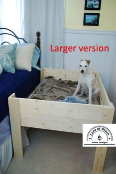 a small white dog sitting on top of a bed in a room with a blue couch