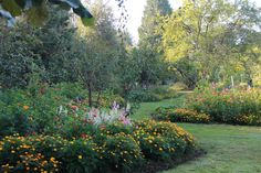 the garden is full of colorful flowers and trees