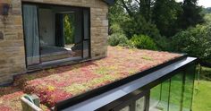 a green roof with grass growing on the side of it and windows in the back