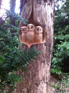 three owls carved into the bark of a tree