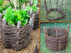 several pictures of different types of planters made out of branches and twigs, including plants in