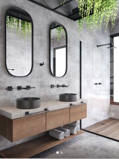 a bathroom with two sinks and mirrors on the wall, under a plant hanging from the ceiling