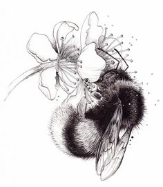 a black and white drawing of a bee with flowers