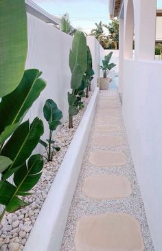 a long narrow walkway between two buildings with plants on each side and rocks in the middle