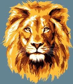 a lion's head is shown on a transparent background, with the image of a lion