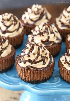 chocolate cupcakes with white frosting on a blue cake plate