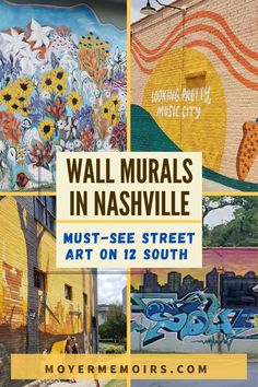 the cover of wall murals in nashville