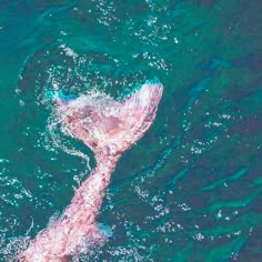 a large pink object floating on top of the ocean next to another body of water