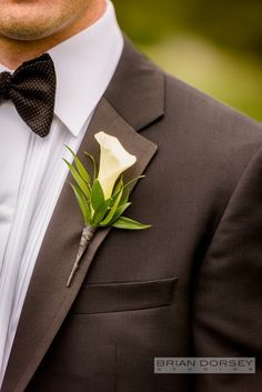 a man in a tuxedo with a boutonniere on his lapel