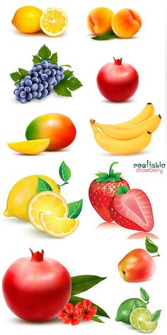 a bunch of different fruits and vegetables are shown in this graphic art workflowe