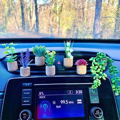 there are succulents and plants in the car's radio display screen