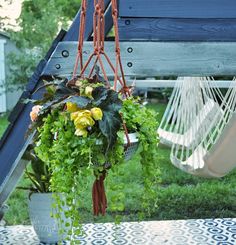 a potted plant is hanging from a hammock