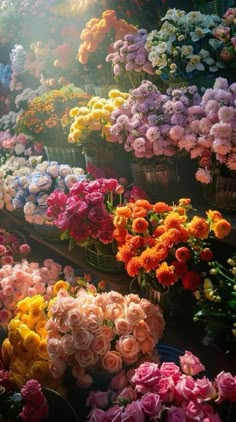 many different colored flowers in baskets on display