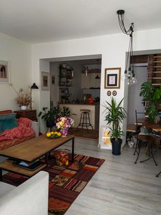 a living room filled with furniture and lots of plants