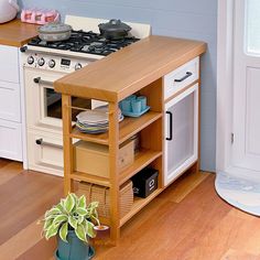 a potted plant sitting on top of a wooden shelf in front of an oven