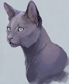 a drawing of a gray cat with blue eyes