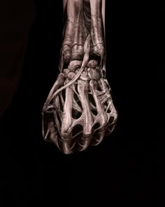 an image of a human hand with bones on it