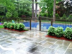 an outdoor swimming pool surrounded by trees and shrubs with a metal fence around the perimeter