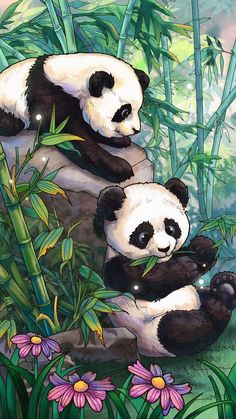 two pandas are sitting on the rocks in the grass and eating bamboo with flowers around them