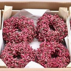 Dried Pepperberry Wreath - 4.74 in Coral Wreath, Balloons Decor, Valentines Wreath, Sticky Note Planner, Christmas Holiday Greetings, Holiday Stationery, Wrapping Party, Pink Burgundy, Flower Studio