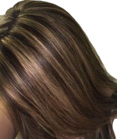 Skunk Highlights Brown Hair, Honey Blonde Highlights On Black Hair, Skunk Hair Brown, Highlight Colors, Highlights Caramel, Skunk Hair, Highlights For Dark Brown Hair, Mha Dr