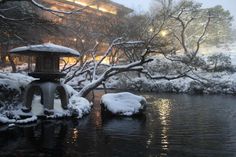 snow covered trees and water in front of a building