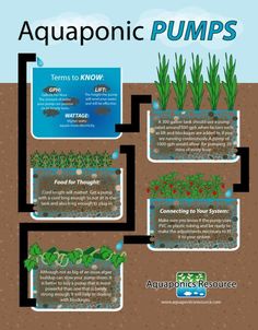 the aquaponic pump system is shown in this diagram