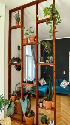 a living room filled with lots of potted plants next to a blue couch and window