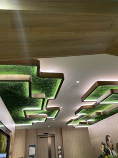 the ceiling is decorated with green plants and suspended by recessed lights in an office building