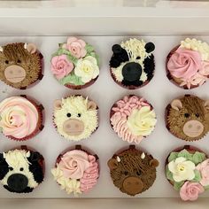 twelve cupcakes in a box decorated with teddy bears and flowers