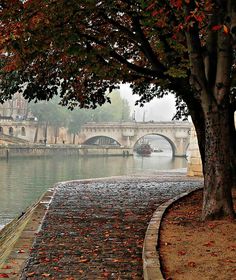 a river that has some trees on it and a bridge in the background with buildings