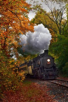 #Fall #Foliage #steam #train #ride Autumn Train, Essex Connecticut, Steam Trains Photography, Autumn Landscapes, Desenho Tom E Jerry, Train Photo, Old Steam Train, Steam Engine Trains, Scenic Railroads