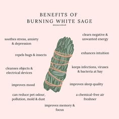 just a few reasons as to why burning white sage is an amazing spiritual practice! 🌿 i like to start my day by burning sage and set an intention for how i want the day to go ✨ i’ve seen a vast improvement in my mental & spiritual well-being since doing this 🥰 our white sage is premium quality with an affordable price tag! it also comes in small & large 💚 www.mysacredsoul.co.uk #whitesage #sage #sagesmudge #whitesagesmudgestick #whitesagebenefits #burningsage #spiritual #spiritualgrowth #s... How To Use White Sage, What Does Sage Do, Sage Burning Intentions, What Does Burning Sage Do, Sage Benefits Burning, Sage Brush Drawing, Sage Spiritual Meaning, New Year Sage Cleanse, Cleansing With Sage