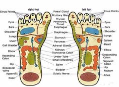 ... Acupuncture Points Chart, Reflexology Points, Pituitary Gland, Massage Benefits