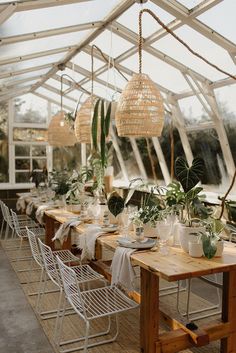 an indoor dining area with tables and chairs, plants in vases hanging from the ceiling