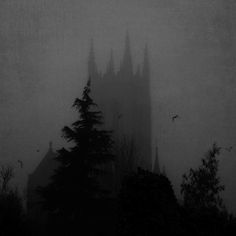 a foggy cathedral with trees in the foreground