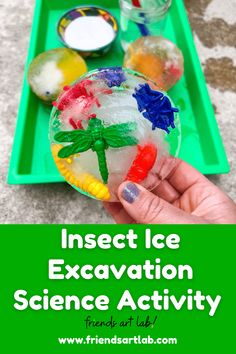 a hand holding an object with the words insect ice excavation science activity in front of it