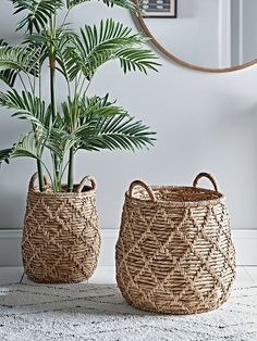 two woven baskets sitting next to each other with a plant in them on the floor