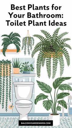 the best plants for your bathroom toilet plant ideas