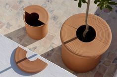 two potted plants sitting next to each other on top of a stone flooring