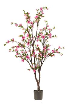 Faux Pink Flowering Trees (2) | Emerald Magnolia | Woodfurniture.com Tree With Pink Flowers, Artificial Magnolia, Artificial Hanging Baskets, Pink Flowering Trees, Wisteria Tree, Pink Magnolia, Flowering Tree, Magnolia Tree, Decorative Wall Sconces