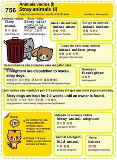 a poster with instructions on how to use animals in different languages and numbers, including the words